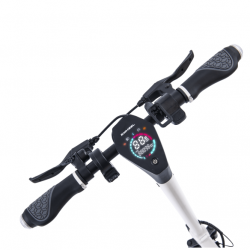 ZFox Max Homologado DGT