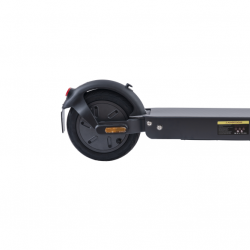 ZFox Max Homologado DGT