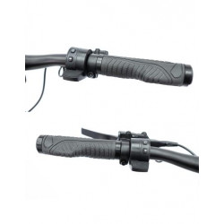 Raptor EVO Certificado