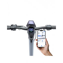 Raptor EVO Certificado