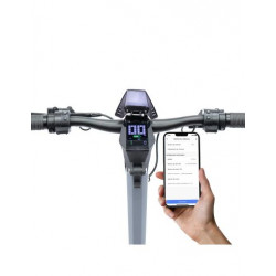 Raptor EVO LR Certificado