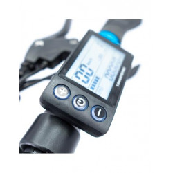 Speedway Certificado