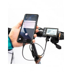 Speedway PRO Certificado